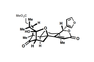 andirolide